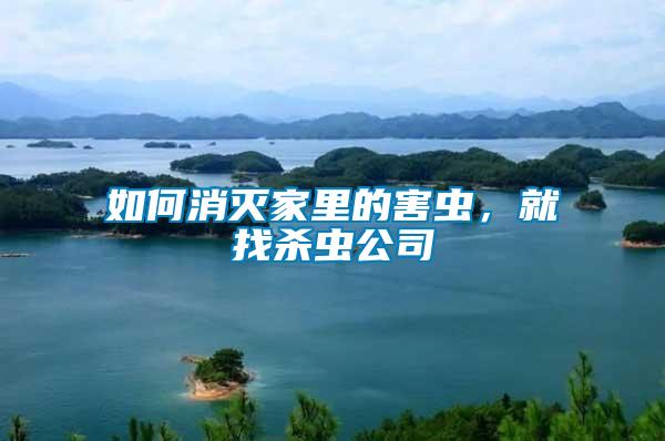 如何消滅家里的害蟲(chóng)，就找殺蟲(chóng)公司