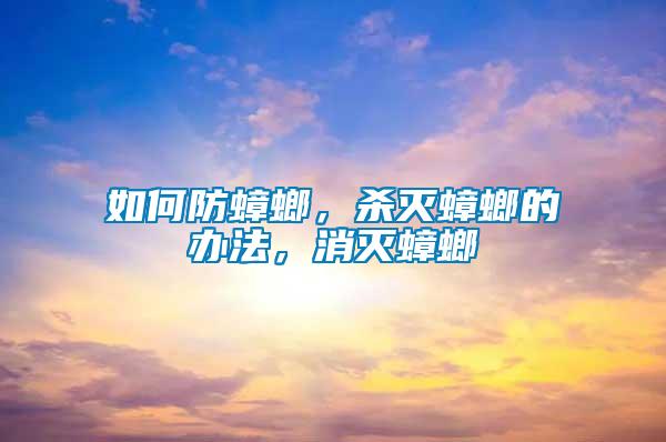 如何防蟑螂，殺滅蟑螂的辦法，消滅蟑螂