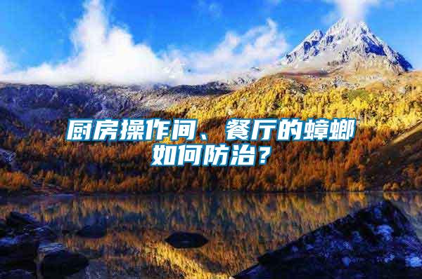 廚房操作間、餐廳的蟑螂如何防治？