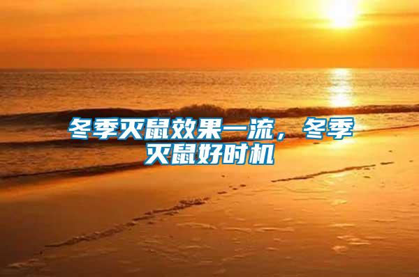 冬季滅鼠效果一流，冬季滅鼠好時機