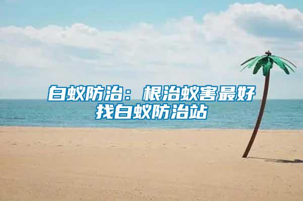 白蟻防治:根治蟻害最好找白蟻防治站