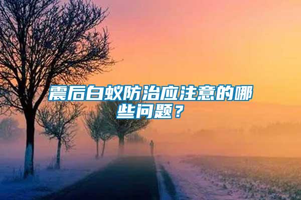 震后白蟻防治應注意的哪些問題？