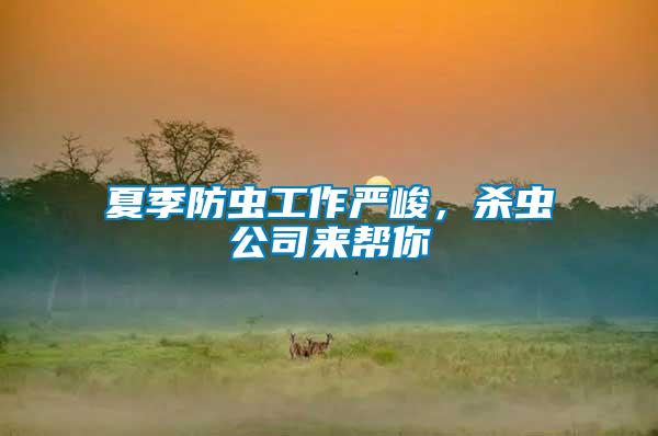 夏季防蟲工作嚴(yán)峻，殺蟲公司來幫你