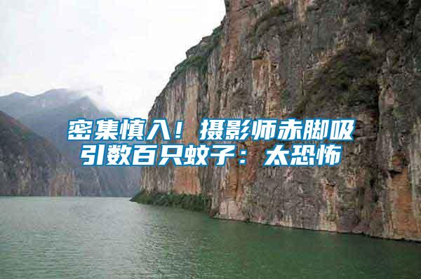 密集慎入！攝影師赤腳吸引數(shù)百只蚊子：太恐怖