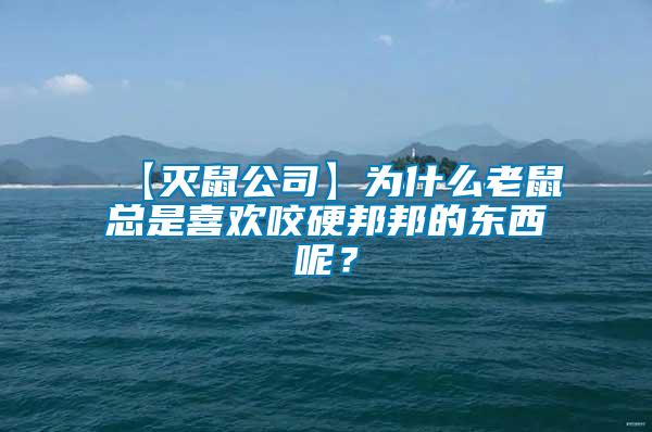 【滅鼠公司】為什么老鼠總是喜歡咬硬邦邦的東西呢？