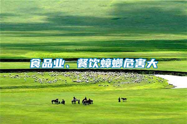 食品業(yè)、餐飲蟑螂危害大