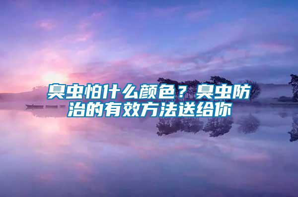 臭蟲(chóng)怕什么顏色？臭蟲(chóng)防治的有效方法送給你