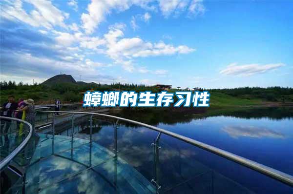 蟑螂的生存習性