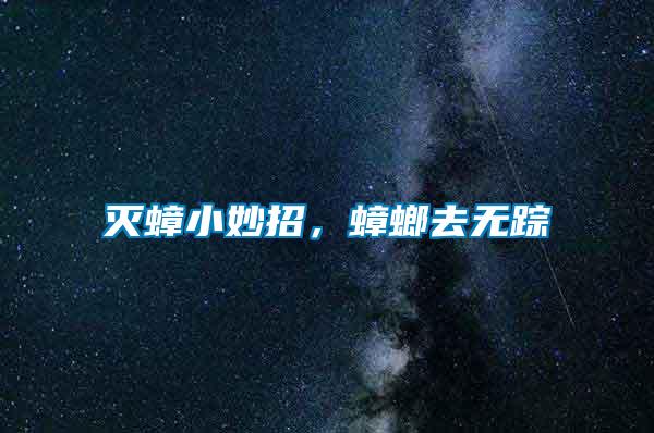 滅蟑小妙招，蟑螂去無蹤