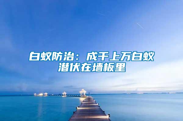 白蟻防治：成千上萬(wàn)白蟻潛伏在墻板里
