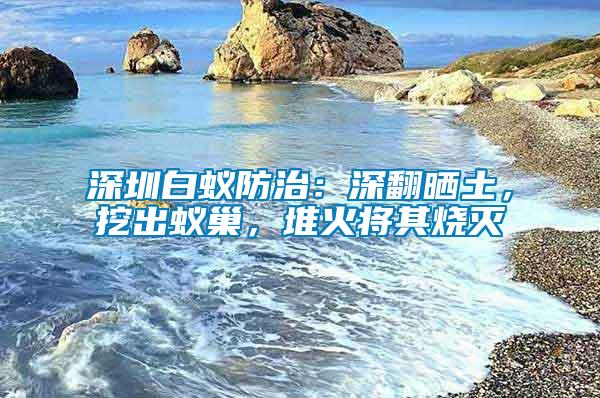 深圳白蟻防治：深翻曬土，挖出蟻巢，堆火將其燒滅