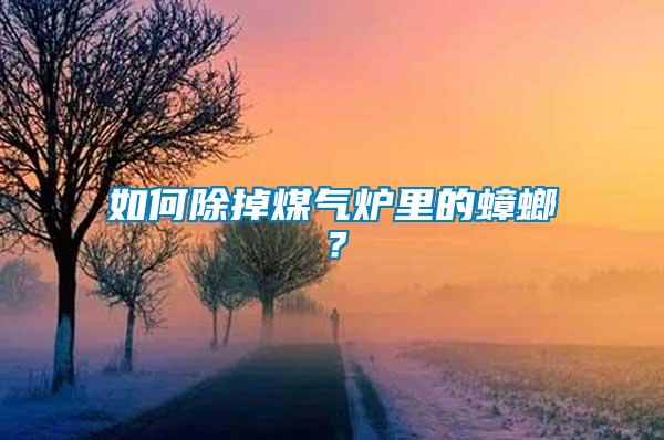 如何除掉煤氣爐里的蟑螂？
