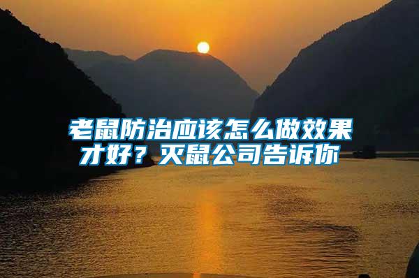 老鼠防治應(yīng)該怎么做效果才好？滅鼠公司告訴你