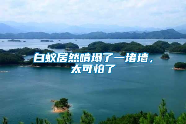 白蟻居然啃塌了一堵墻，太可怕了