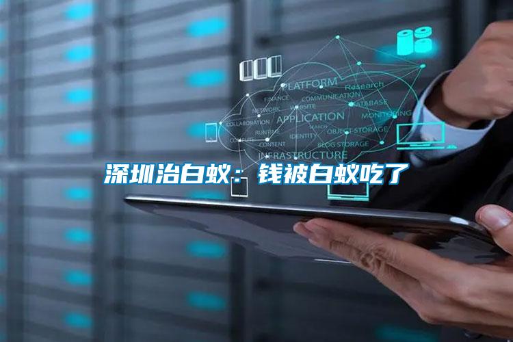 深圳治白蟻:錢(qián)被白蟻吃了