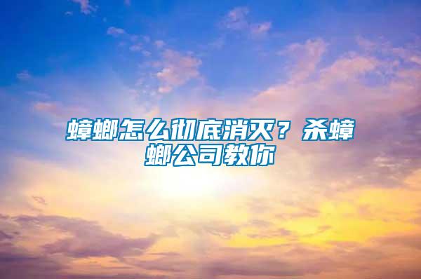 蟑螂怎么徹底消滅？殺蟑螂公司教你