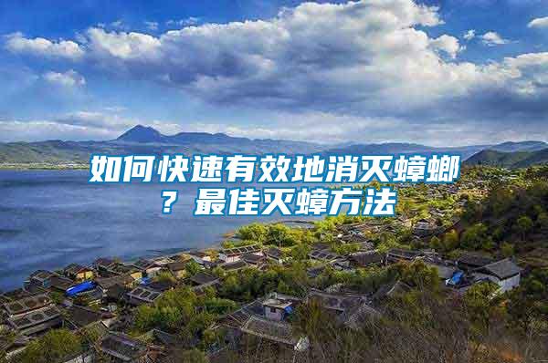 如何快速有效地消滅蟑螂？最佳滅蟑方法