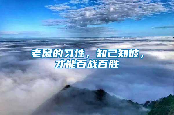 老鼠的習性，知己知彼，才能百戰(zhàn)百勝