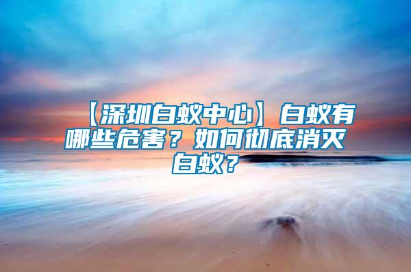 【深圳白蟻中心】白蟻有哪些危害？如何徹底消滅白蟻？