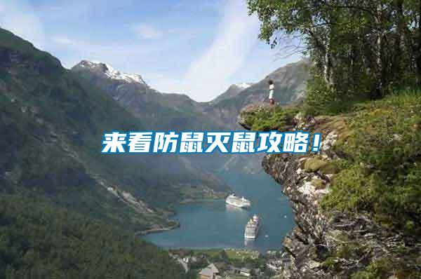 來看防鼠滅鼠攻略！