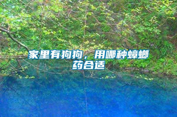 家里有狗狗，用哪種蟑螂藥合適