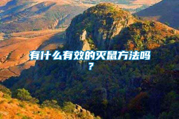 有什么有效的滅鼠方法嗎？