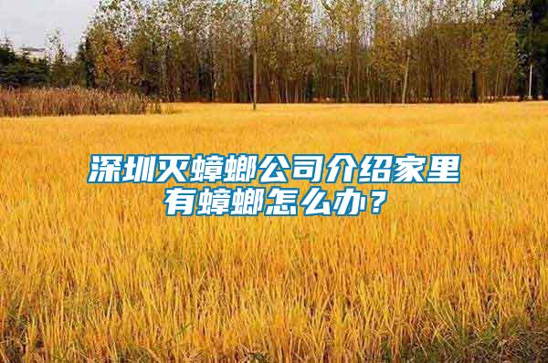 深圳滅蟑螂公司介紹家里有蟑螂怎么辦？