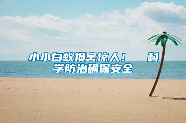 小小白蟻損害驚人！  科學(xué)防治確保安全