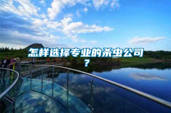怎樣選擇專業(yè)的殺蟲公司？