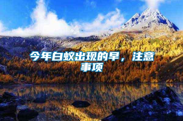 今年白蟻出現(xiàn)的早，注意事項(xiàng)