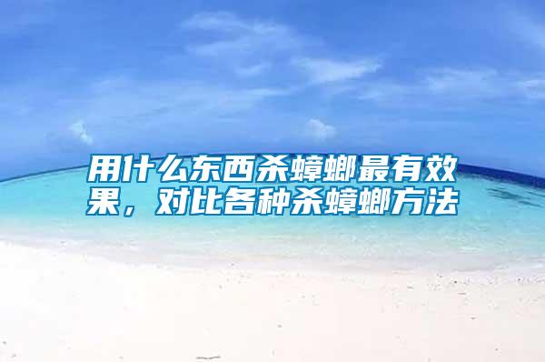 用什么東西殺蟑螂最有效果，對比各種殺蟑螂方法