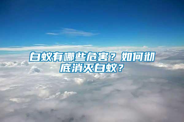 白蟻有哪些危害？如何徹底消滅白蟻？