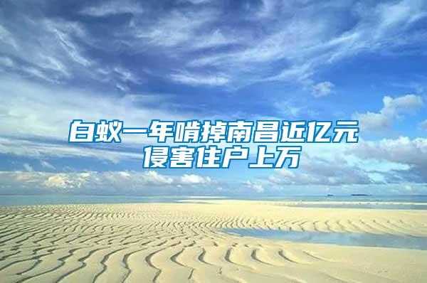 白蟻一年啃掉南昌近億元 侵害住戶上萬(wàn)