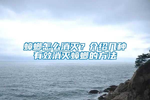 蟑螂怎么消滅？介紹幾種有效消滅蟑螂的方法