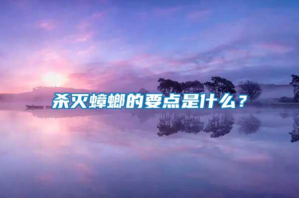 殺滅蟑螂的要點(diǎn)是什么？