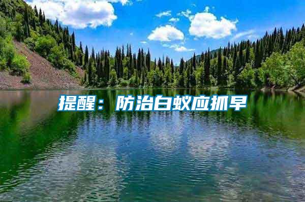 提醒：防治白蟻應抓早