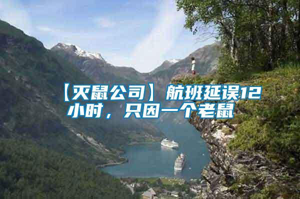 【滅鼠公司】航班延誤12小時(shí),只因一個(gè)老鼠