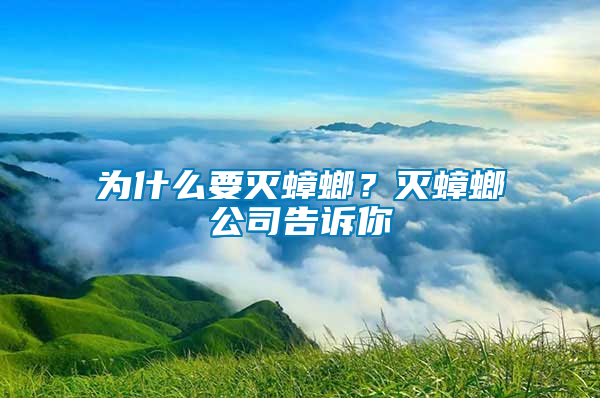 為什么要滅蟑螂？滅蟑螂公司告訴你
