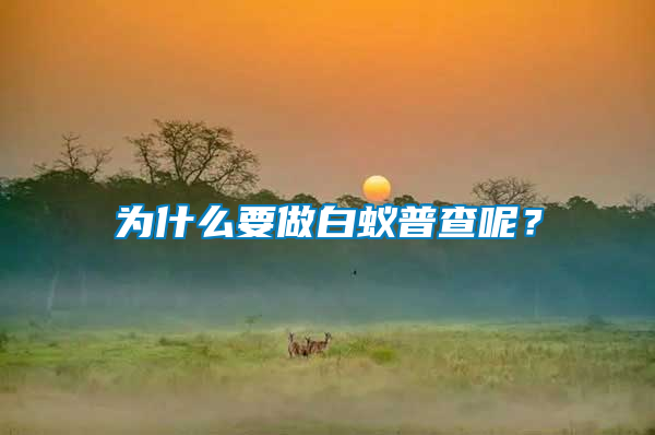 為什么要做白蟻普查呢？