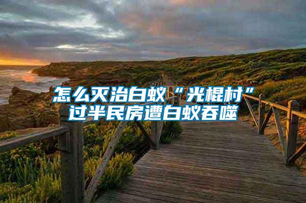 怎么滅治白蟻“光棍村”過(guò)半民房遭白蟻吞噬