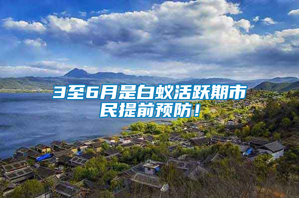 3至6月是白蟻活躍期市民提前預(yù)防！