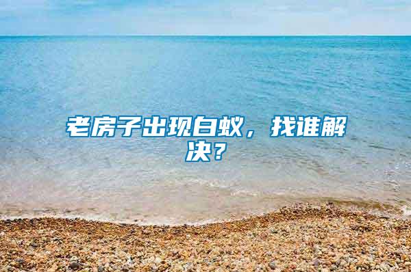 老房子出現(xiàn)白蟻，找誰解決？