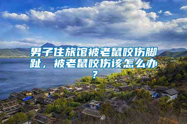 男子住旅館被老鼠咬傷腳趾，被老鼠咬傷該怎么辦？