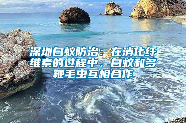 深圳白蟻防治：在消化纖維素的過(guò)程中，白蟻和多鞭毛蟲(chóng)互相合作