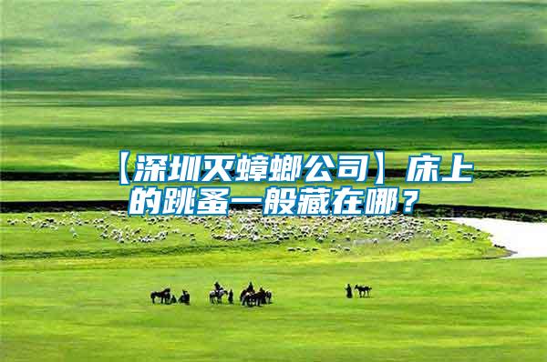 【深圳滅蟑螂公司】床上的跳蚤一般藏在哪？