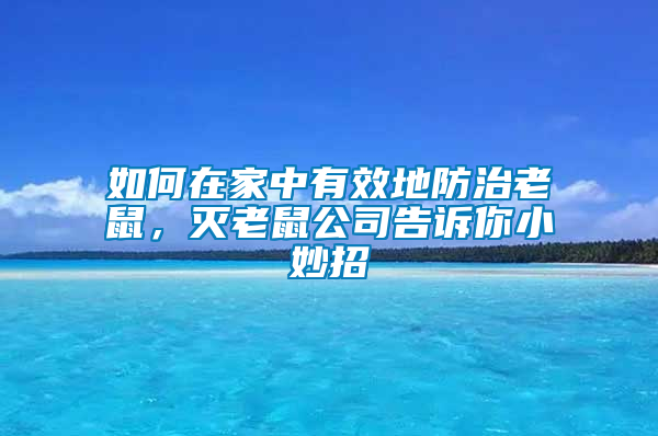 如何在家中有效地防治老鼠，滅老鼠公司告訴你小妙招