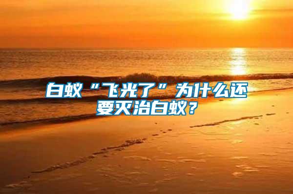 白蟻“飛光了”為什么還要滅治白蟻？