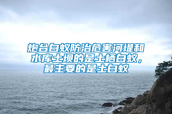 炮臺(tái)白蟻防治危害河堤和水庫土壩的是土棲白蟻，最主要的是土白蟻