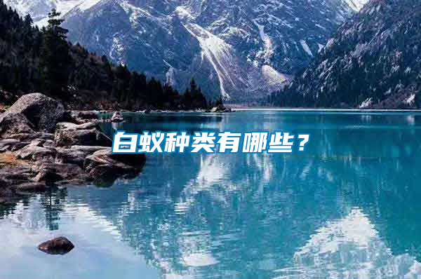 白蟻種類有哪些？