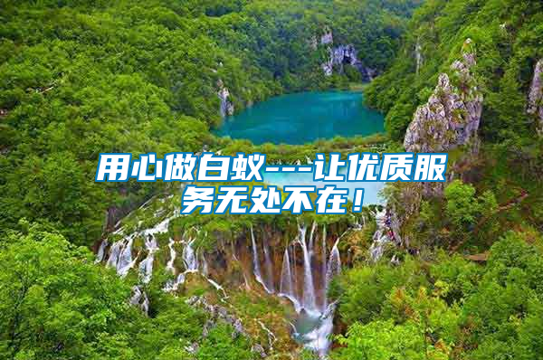 用心做白蟻---讓優(yōu)質(zhì)服務無處不在！